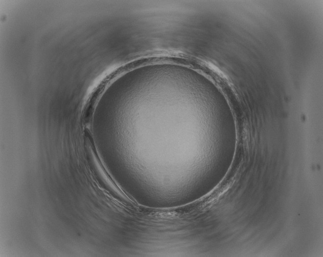 X0000072521310200608041522