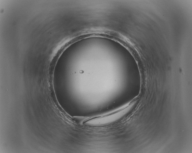 X0000072521312200608041522