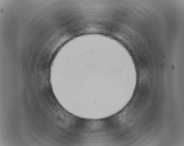 X0000072521314200608041522