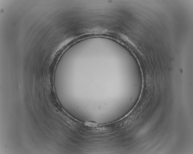 X0000072521315200608041522