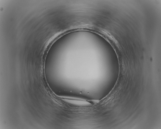 X0000072521316200608041522