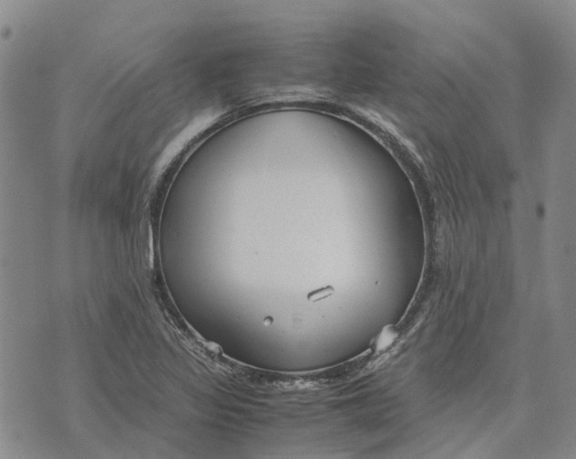 X0000072521317200608041522