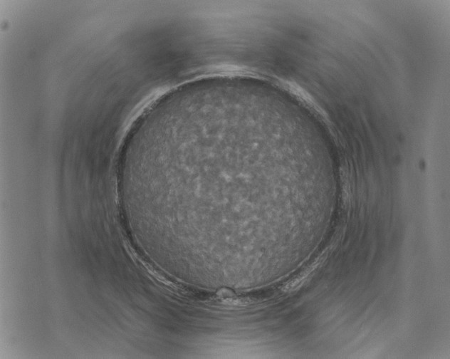 X0000072521318200608041522