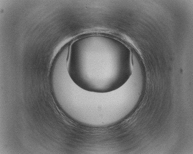 X0000072521320200608041522