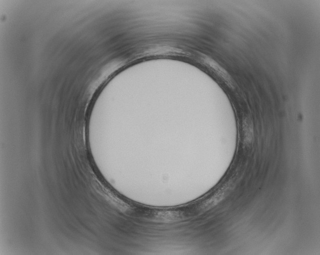 X0000072521322200608041522