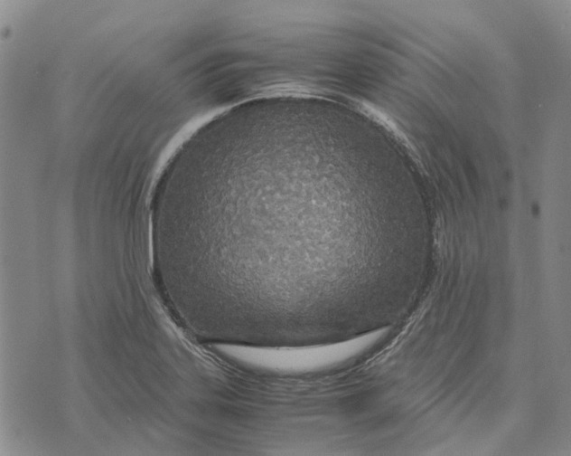 X0000072521323200608041522