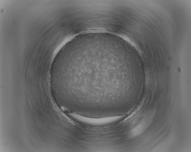 X0000072521325200608041522