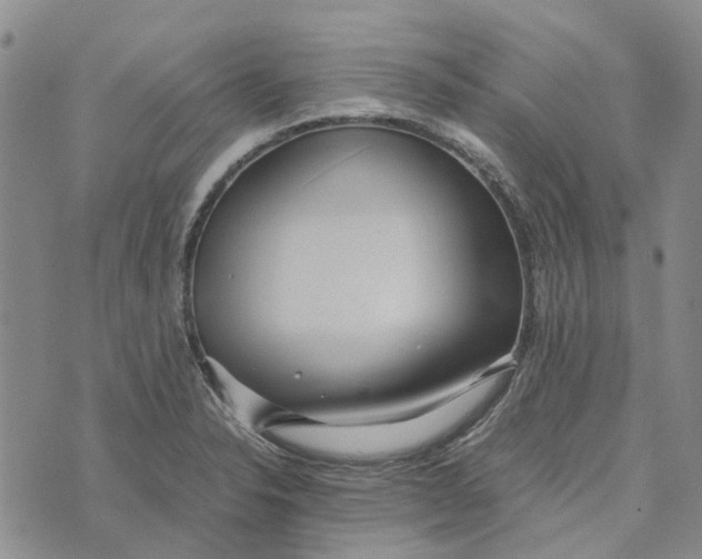 X0000072521326200608041522