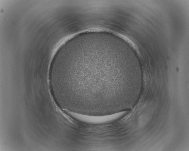 X0000072521327200608041522