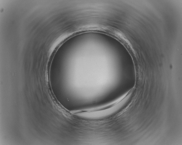 X0000072521328200608041522