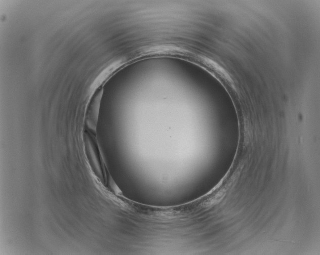 X0000072521330200608041522