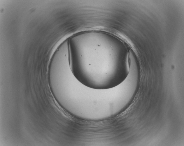 X0000072521332200608041522