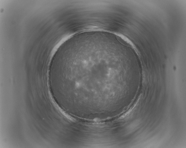 X0000072521333200608041522