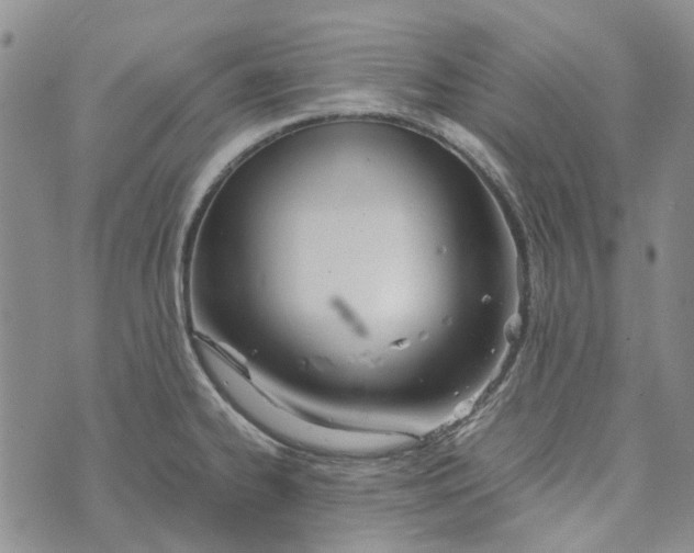 X0000072521334200608041522