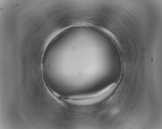 X0000072521335200608041522