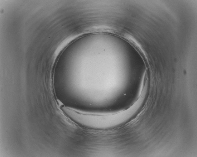 X0000072521336200608041522