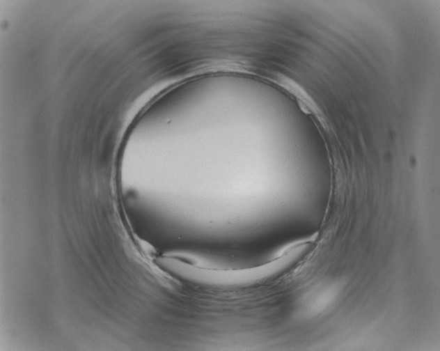 X0000072521339200608041522