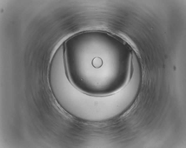 X0000072521340200608041522