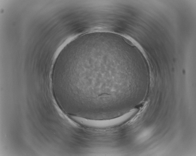 X0000072521341200608041522