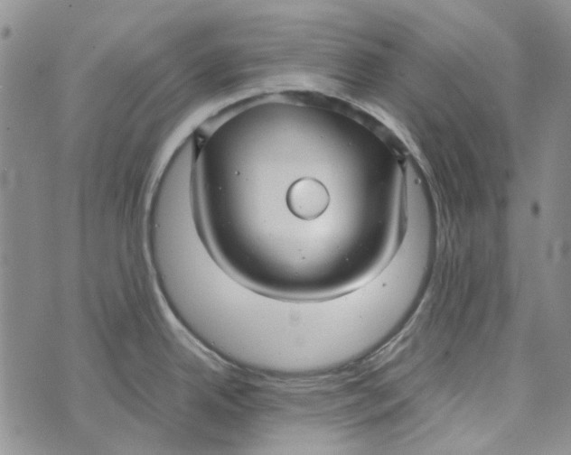 X0000072521342200608041522