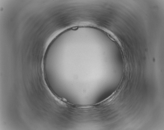 X0000072521343200608041522