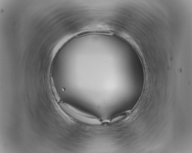 X0000072521344200608041522