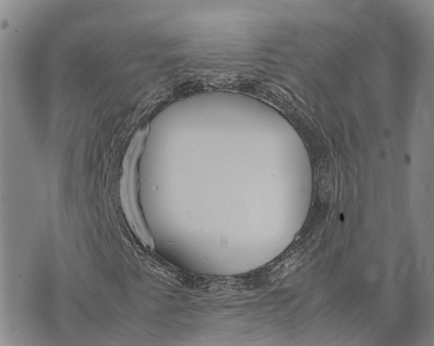 X0000072521345200608041521