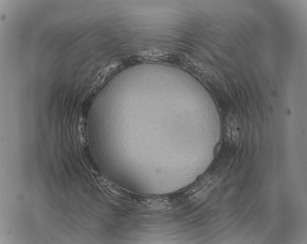 X0000072521346200608041521