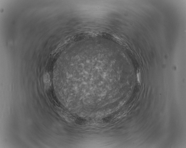 X0000072521347200608041521