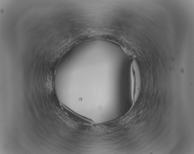 X0000072521348200608041521