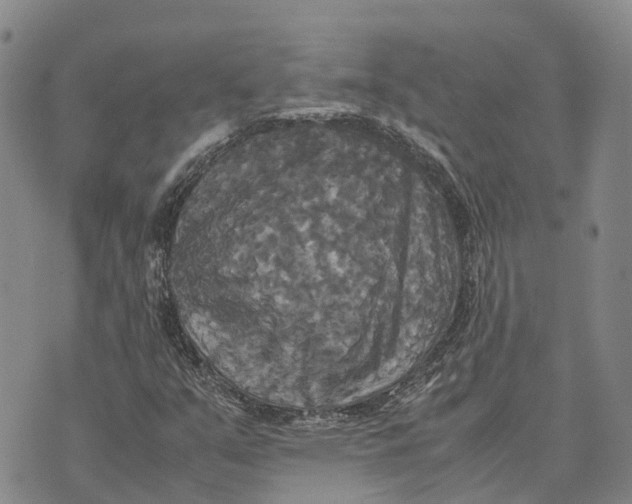 X0000072521351200608041521