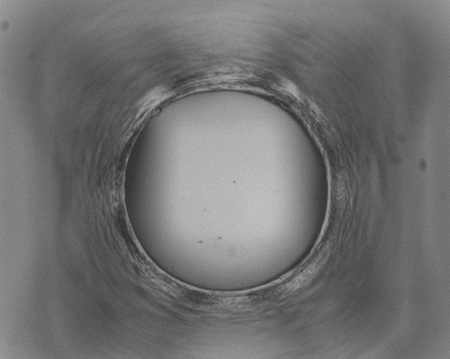 X0000072521353200608041521