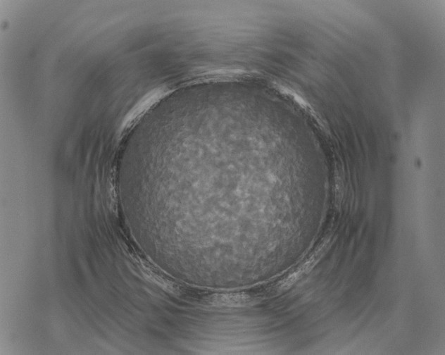 X0000072521354200608041521