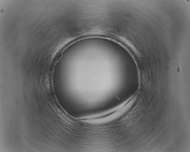 X0000072521356200608041521