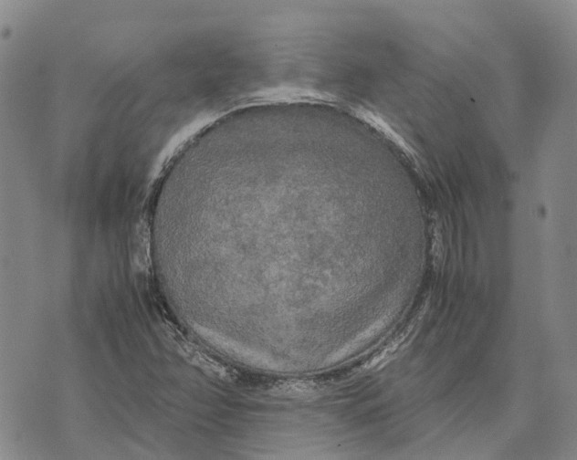 X0000072521358200608041521