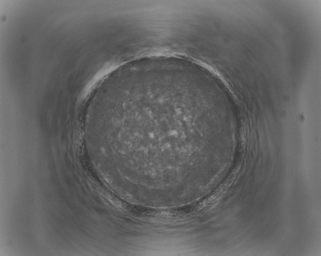 X0000072521359200608041521