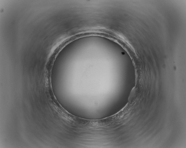 X0000072521360200608041521