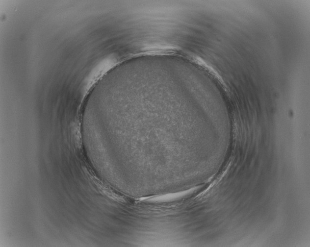 X0000072521362200608041521