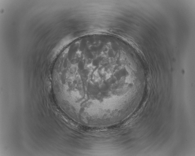 X0000072521363200608041521