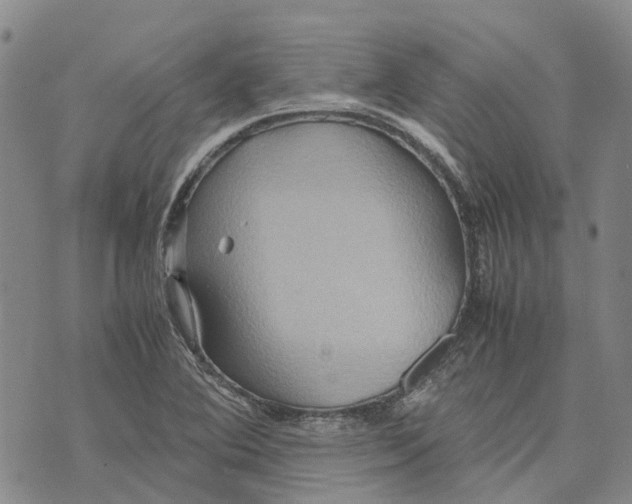 X0000072521364200608041521