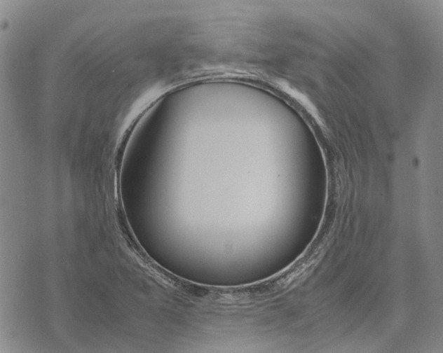 X0000072521365200608041521