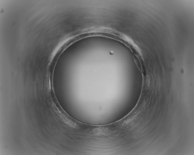 X0000072521368200608041521