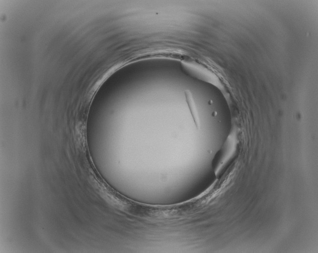 X0000072521369200608041521