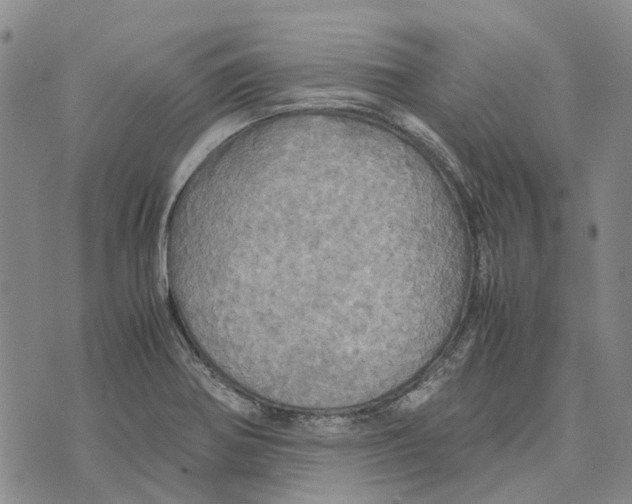 X0000072521370200608041521