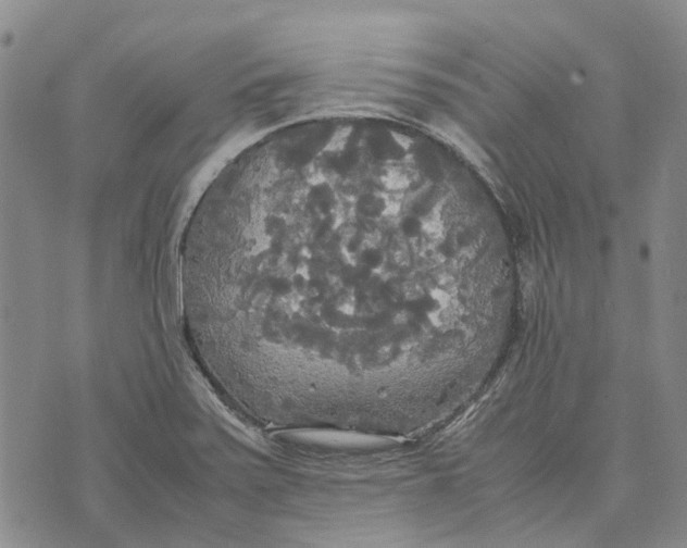 X0000072521371200608041521