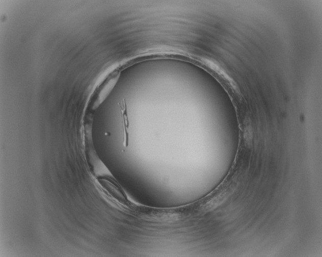 X0000072521372200608041521