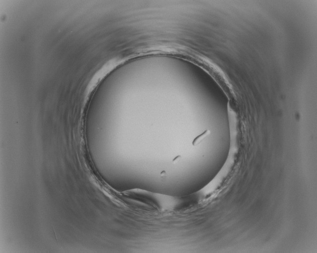 X0000072521373200608041521