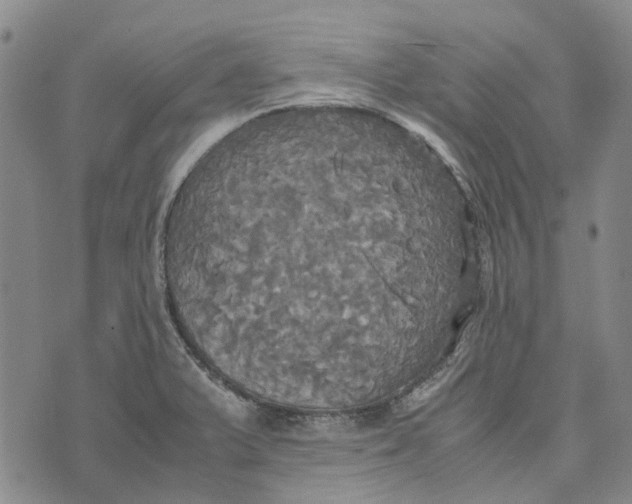 X0000072521375200608041521