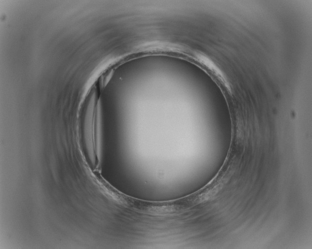 X0000072521376200608041521