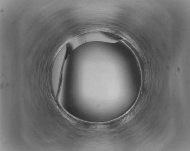 X0000072521377200608041521